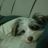 butza0211